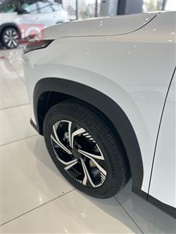 جيلي ستى راى